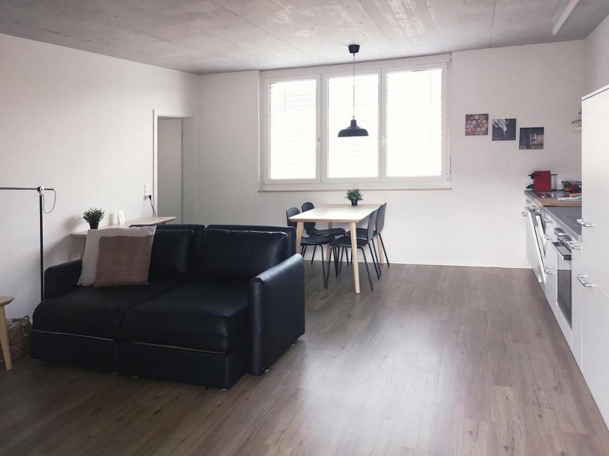 Atrium Apartments Шафхаузен Экстерьер фото